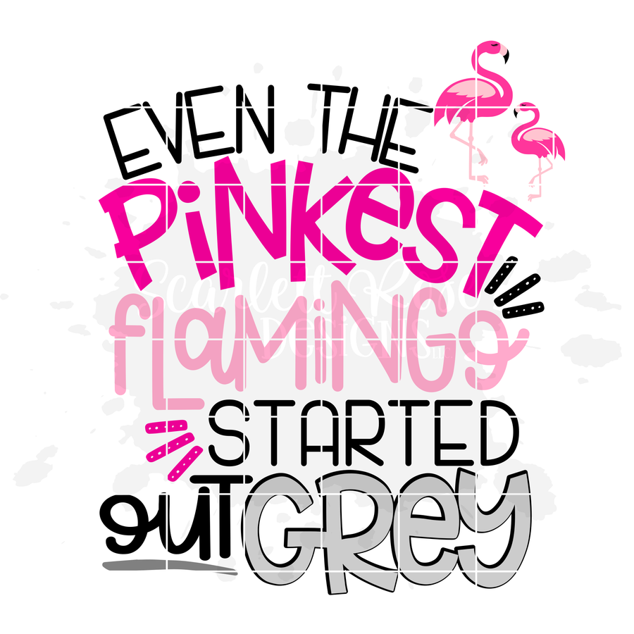 Even the Pinkest Flamingo started out Grey SVG