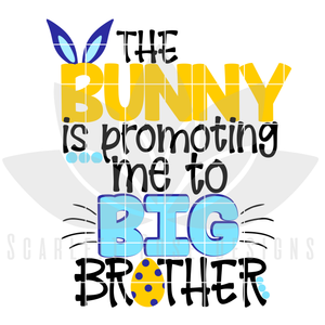 The Bunny is promoting me to Big Brother SVG